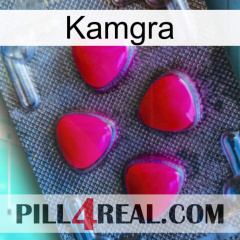 Kamgra 13